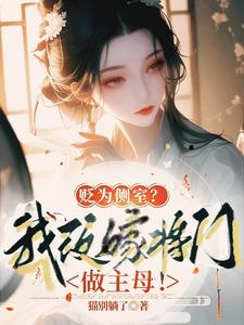 二嫁by二三意